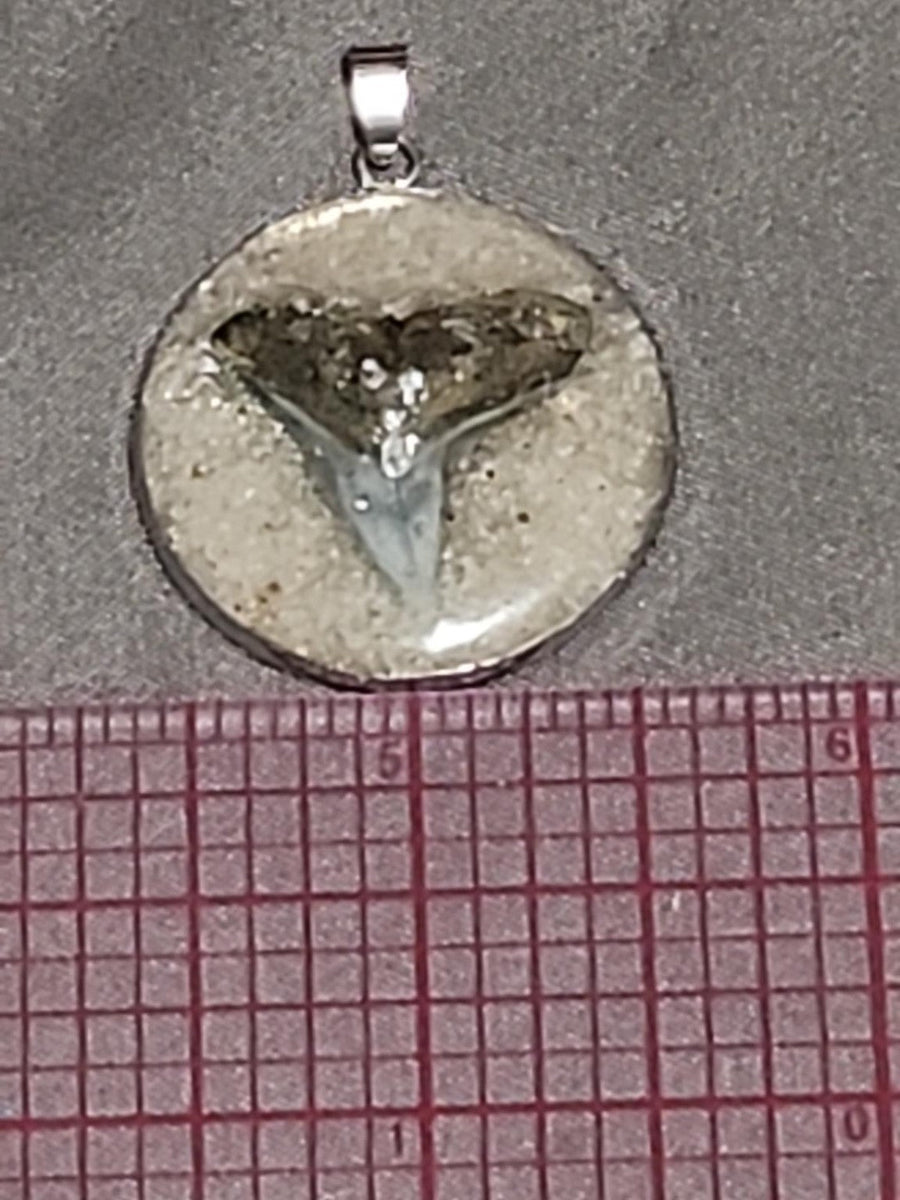 Actual fossil pendant BTF-001
