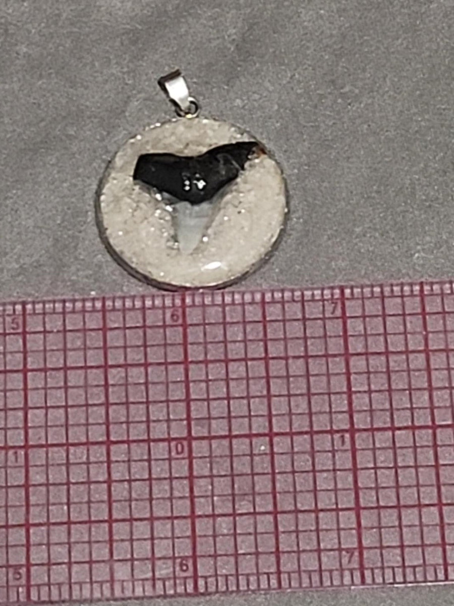 Actual fossil pendant BTF-002