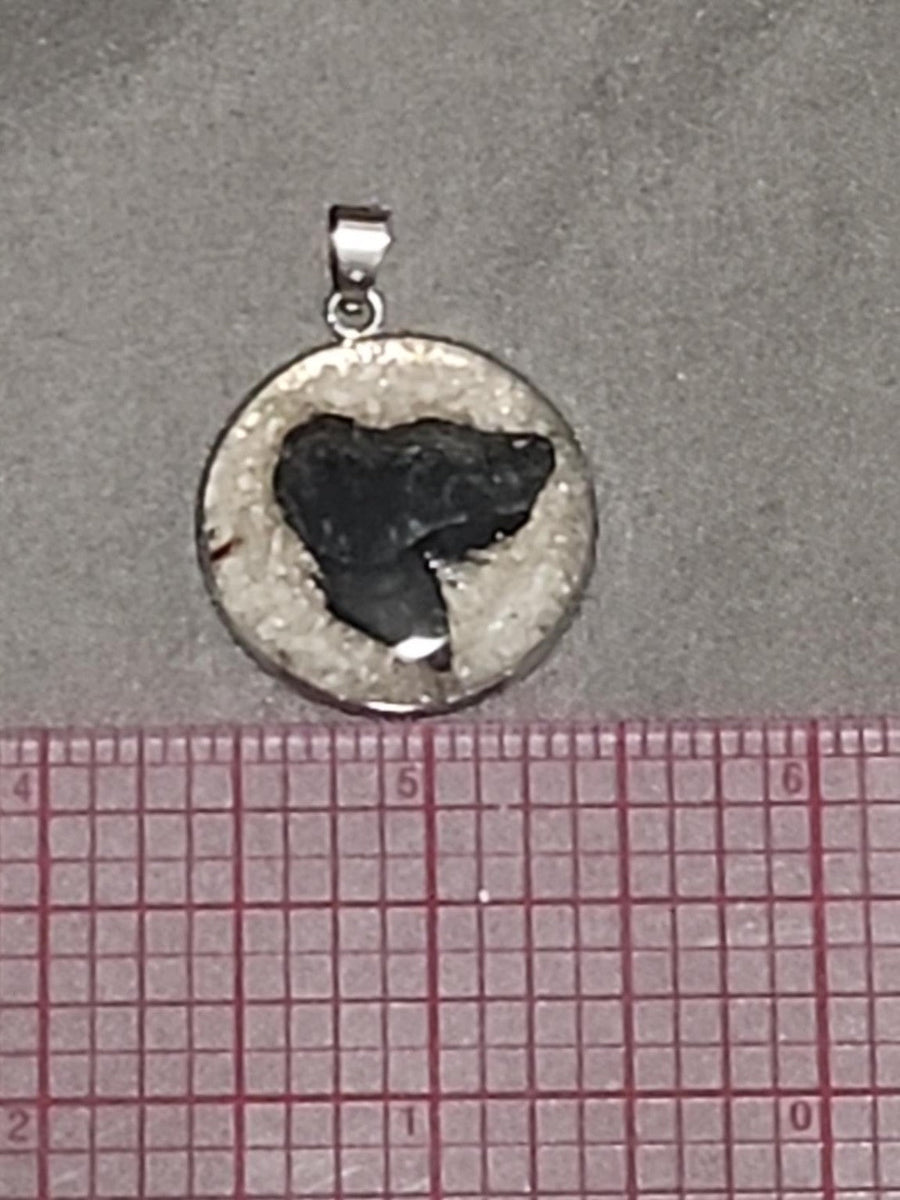 Actual fossil pendant BTF-004