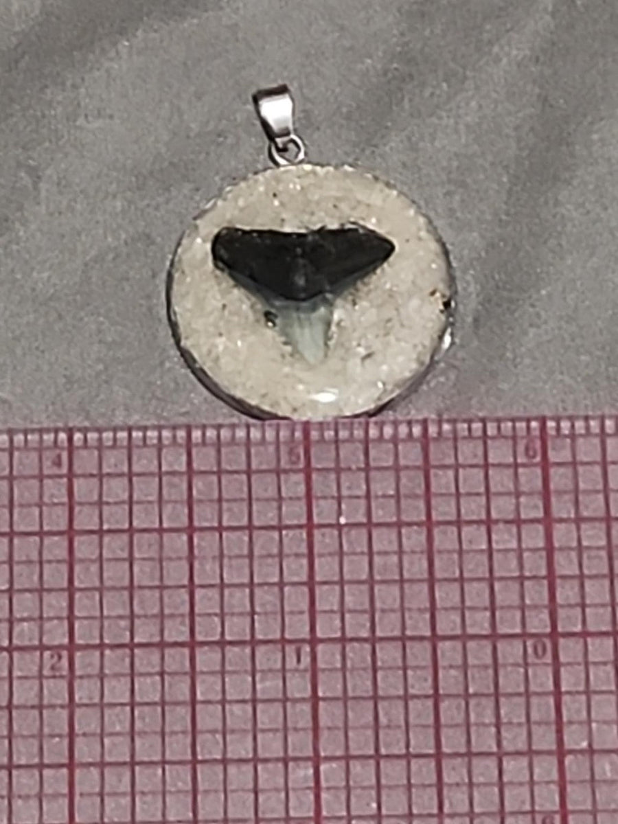 Actual fossil pendant BTF-005