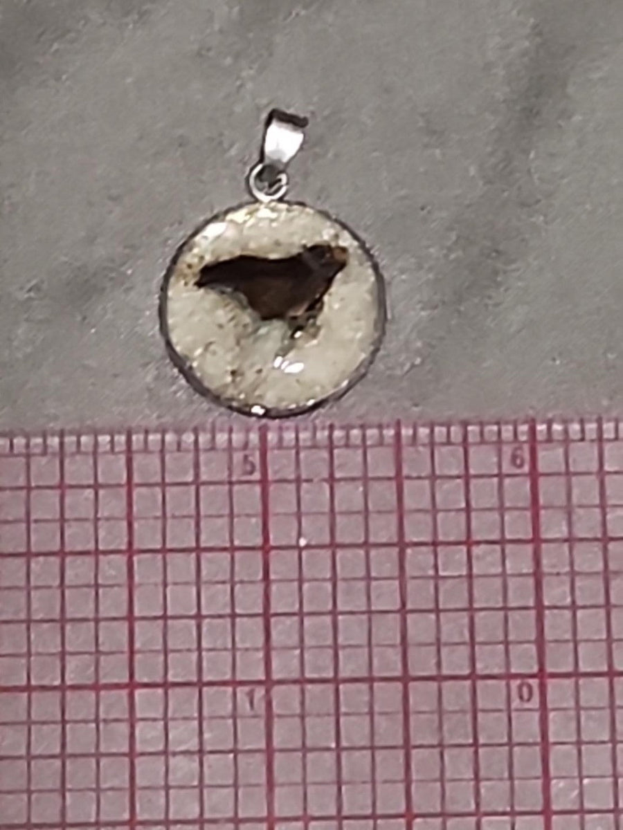 Actual fossil pendant BTF-007
