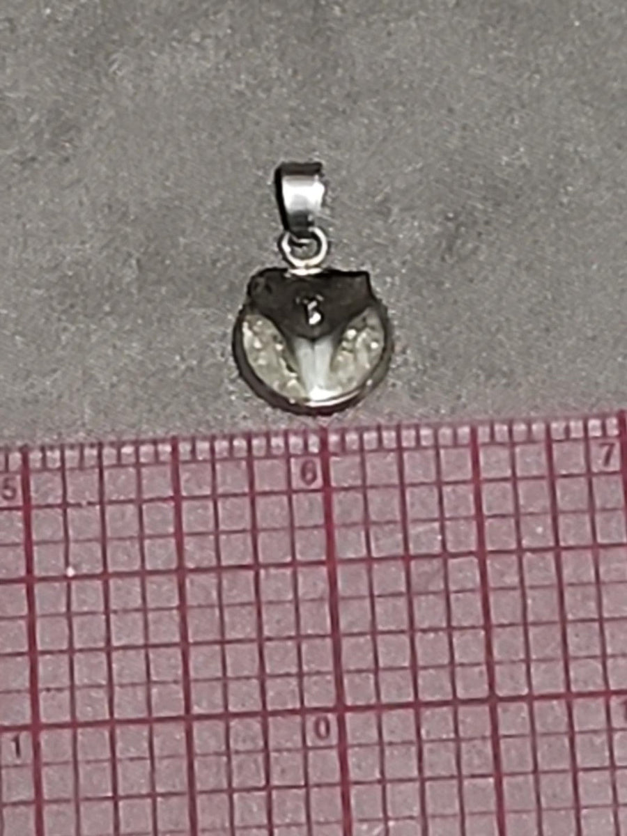 Actual fossil pendant BTF-008