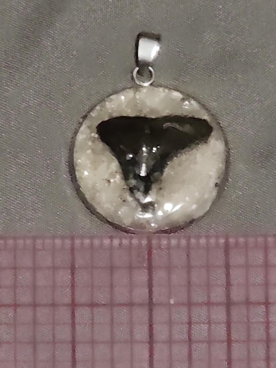 Actual fossil pendant BTF-010