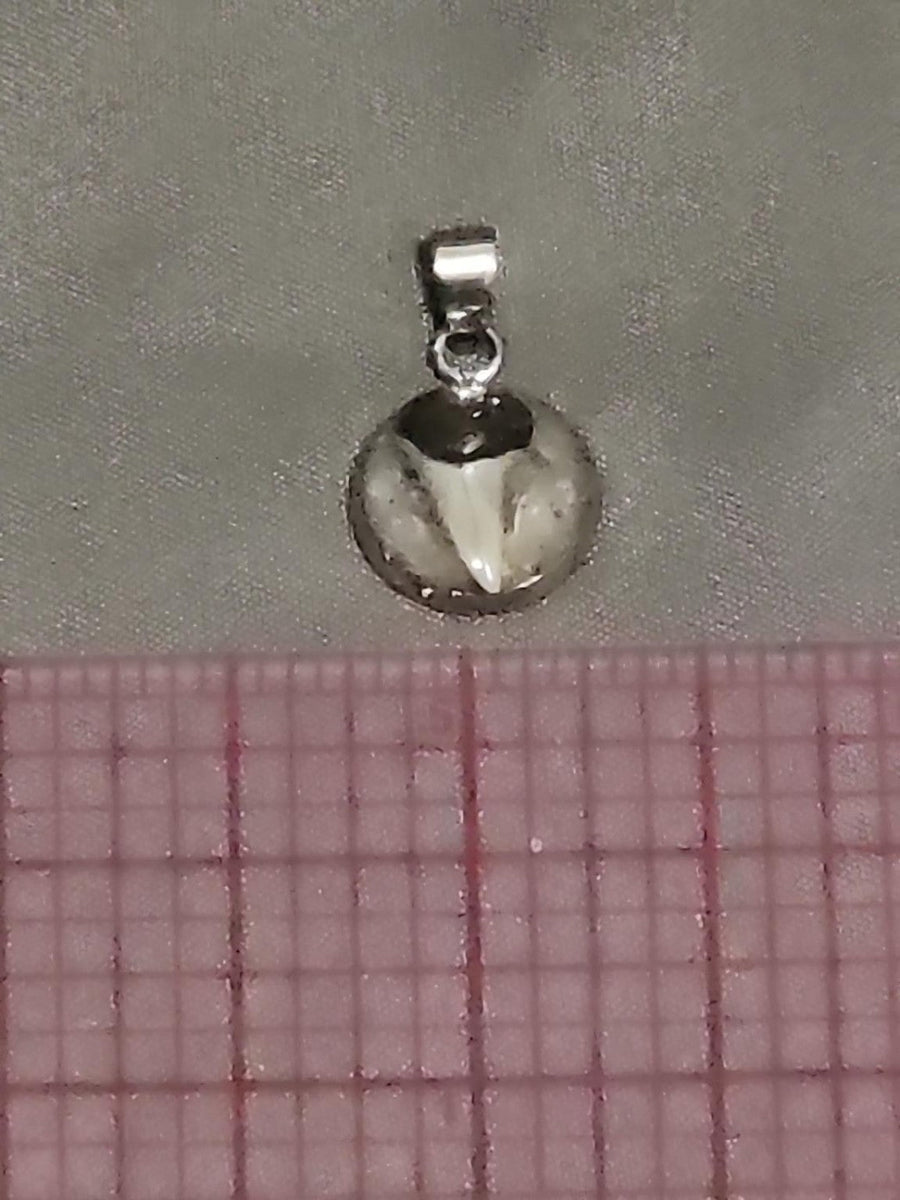 Actual fossil pendant BTF-011