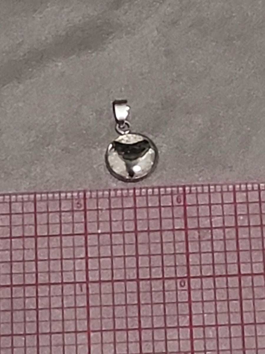 Actual fossil pendant BTF-013