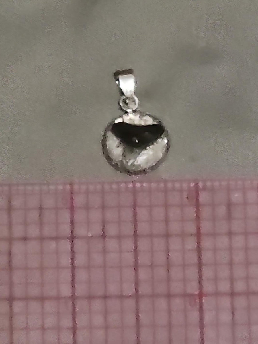 Actual fossil pendant BTF-014